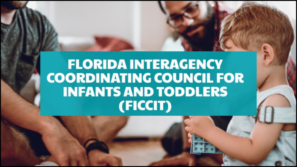Florida Interagency Coordinating Council for Infants and Toddlers (FICCIT)