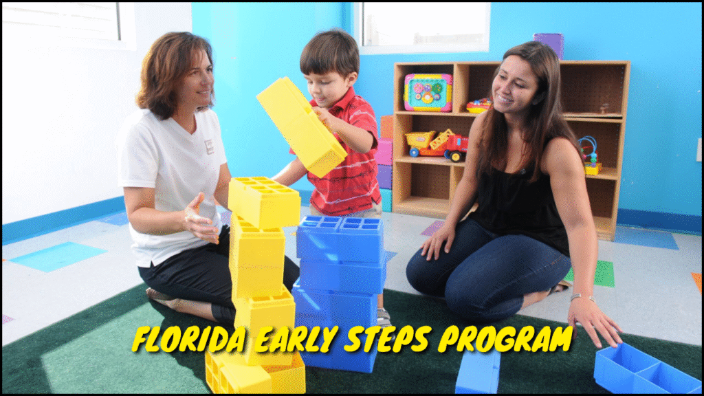Florida Early Steps Program, Performance and Accountability Overview